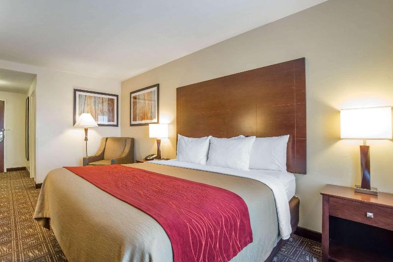스탠다드 룸 킹사이즈 침대, Courtyard By Marriott Warsaw Airport
