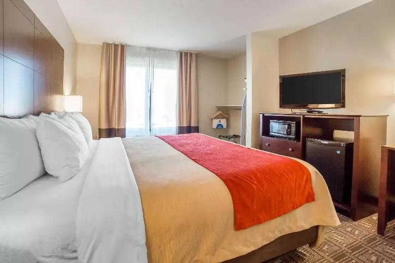 اتاق لوکس با تخت بزرگ, Courtyard By Marriott Warsaw Airport