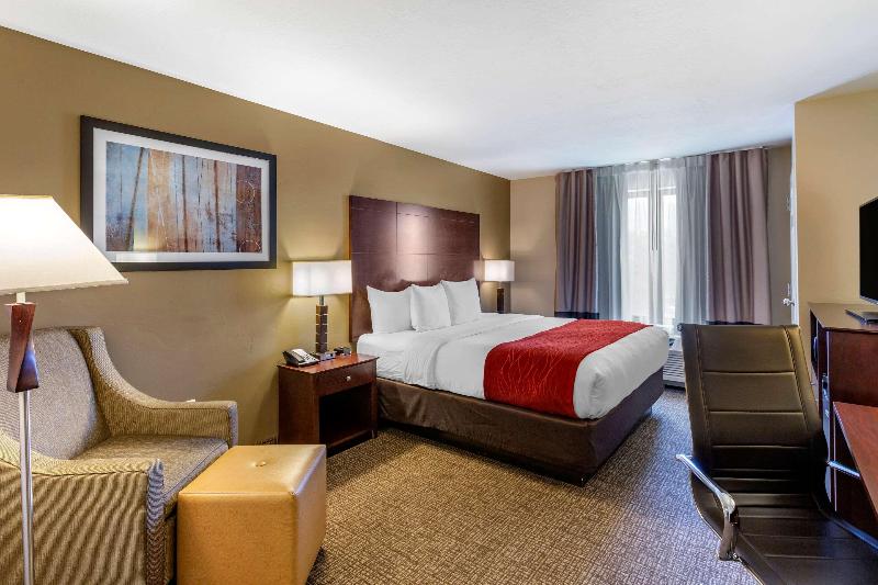 스탠다드 룸 킹사이즈 침대, Courtyard By Marriott Warsaw Airport