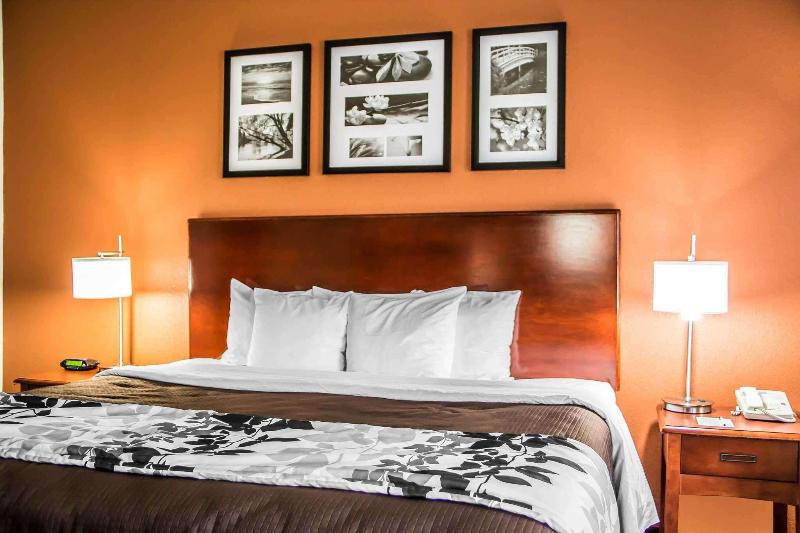 デラックスルーム, Ester