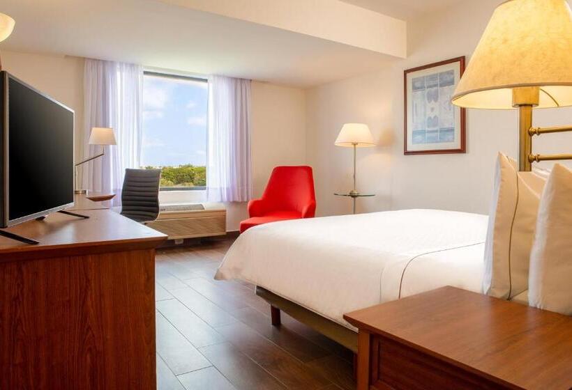 带大床的标准间, Fiesta Inn Tampico