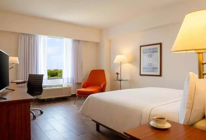 اتاق سوپریور با تخت بزرگ, Fiesta Inn Tampico