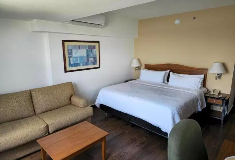 اتاق سوپریور با تخت بزرگ, Fiesta Inn Tampico