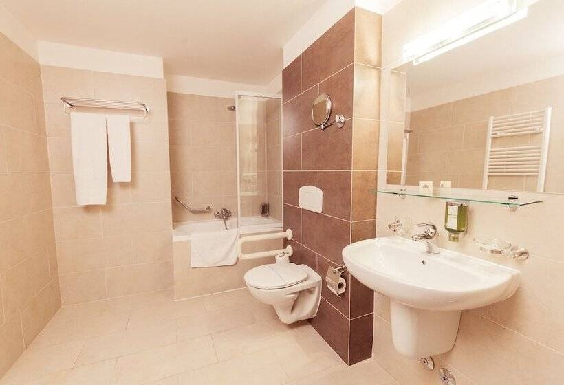 Cameră Standard, Paradis