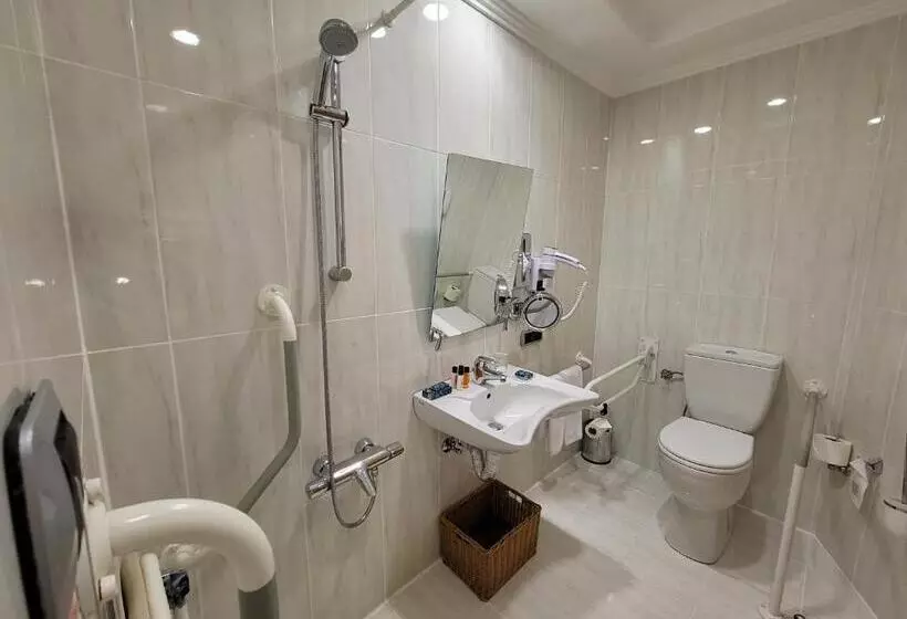 اتاق استاندارد با تخت بزرگ برای معلولان, Wyndham Grand Izmir Ozdilek Thermal & Spa