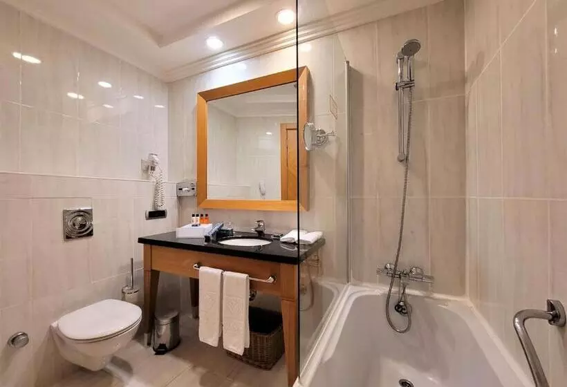 اتاق استاندارد با چشم‌انداز کوهستان, Wyndham Grand Izmir Ozdilek Thermal & Spa