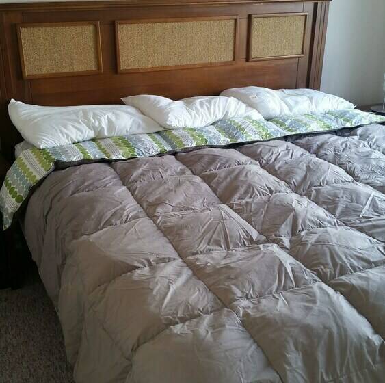 דירת חדר, Green Apartments