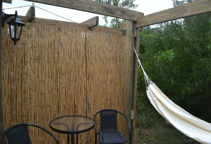 اتاق کلاسیک, La Posadita