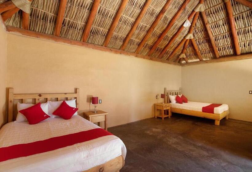 غرفة قياسية, Villa Xtreme