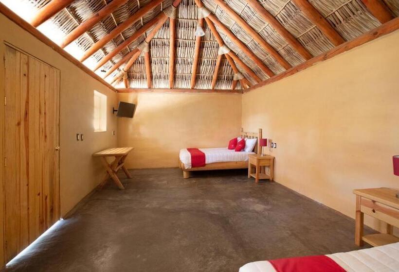 غرفة قياسية, Villa Xtreme