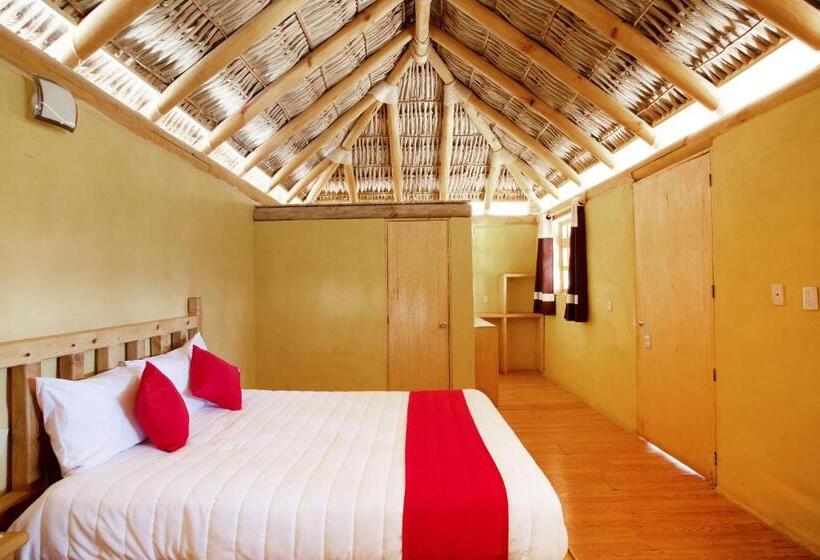 غرفة قياسية, Villa Xtreme