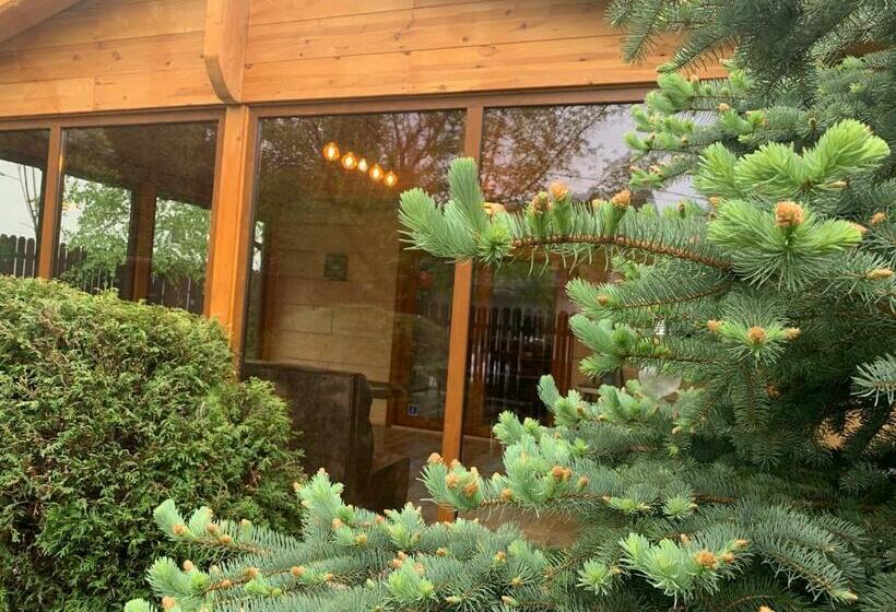 Шале 1 Спальня, Chalet Milenium Residence Bran