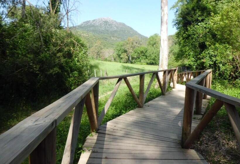 Номер Стандарт, Jade