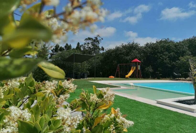 Номер Стандарт Вид на Бассейн, Pérola D óbidos T1