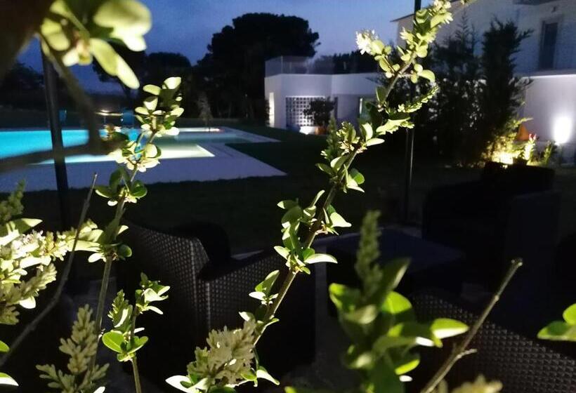 스탠다드 룸 풀장 전망, Pérola D óbidos T1