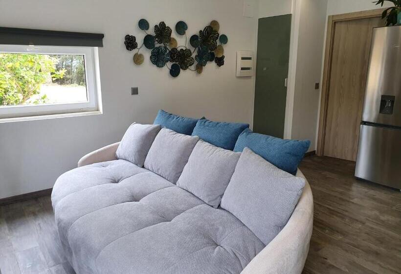 חדר סטנדרט נוף לבריכה, Pérola D óbidos T1