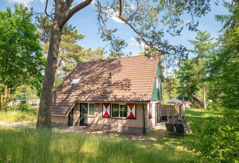 בקתה סטנדרטית, Landal Coldenhove