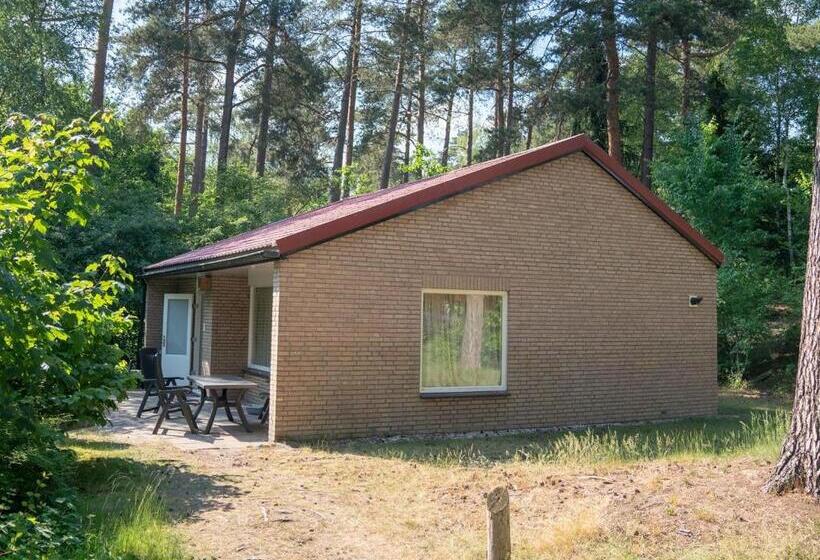 בקתה סטנדרטית, Landal Coldenhove