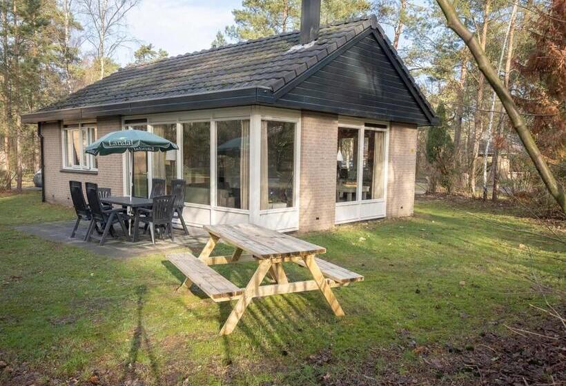 בונגלו סטנדרט 2 חדרי שינה, Landal Coldenhove