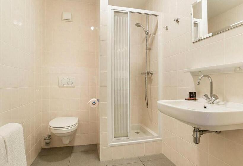 豪华洋房, Landal Domein De Schatberg