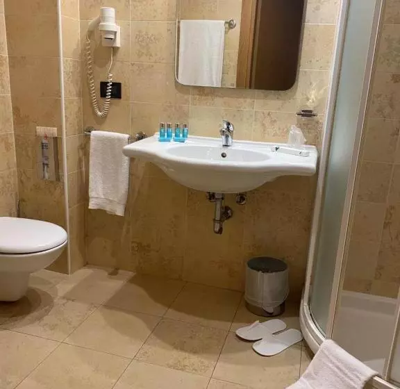 اتاق استاندارد یک نفره, Mh Hotel Piacenza Fiera