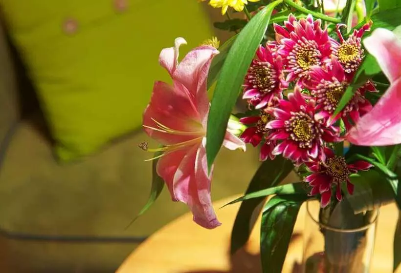 اتاق استاندارد یک نفره, Triada