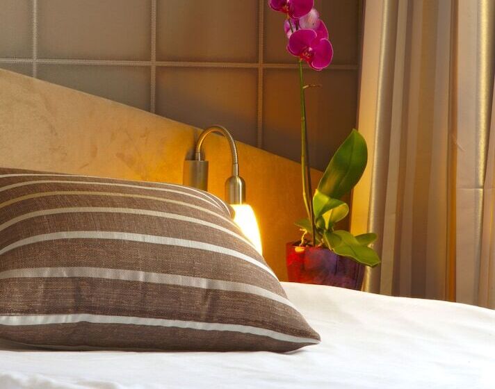 标准单人间, Triada