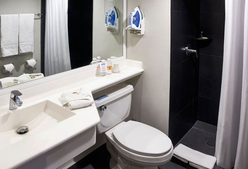 带2个双人床的标准工作室, City Express By Marriott Leon