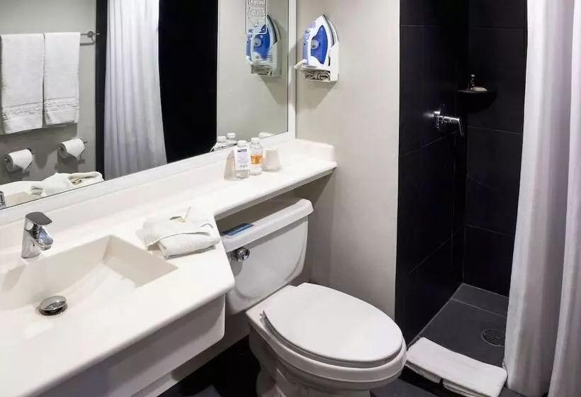 اتاق استاندارد با 2 تخت دوبل, City Express By Marriott Leon