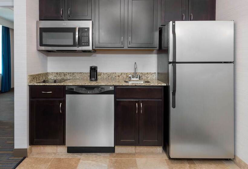 Люкс, Hampton Inn & Suites Buffalo Downtown