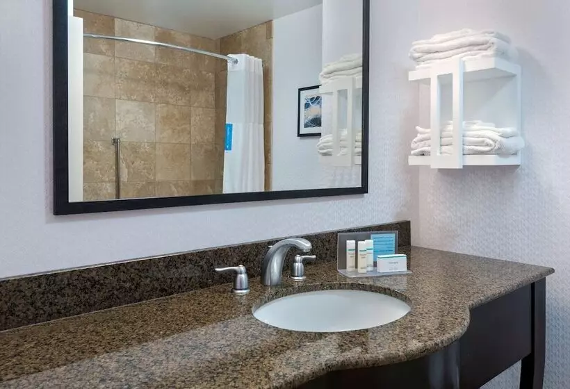 سوییت, Hampton Inn & Suites Buffalo Downtown