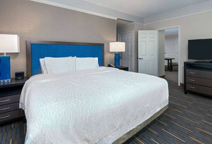 جناح, Hampton Inn & Suites Buffalo Downtown