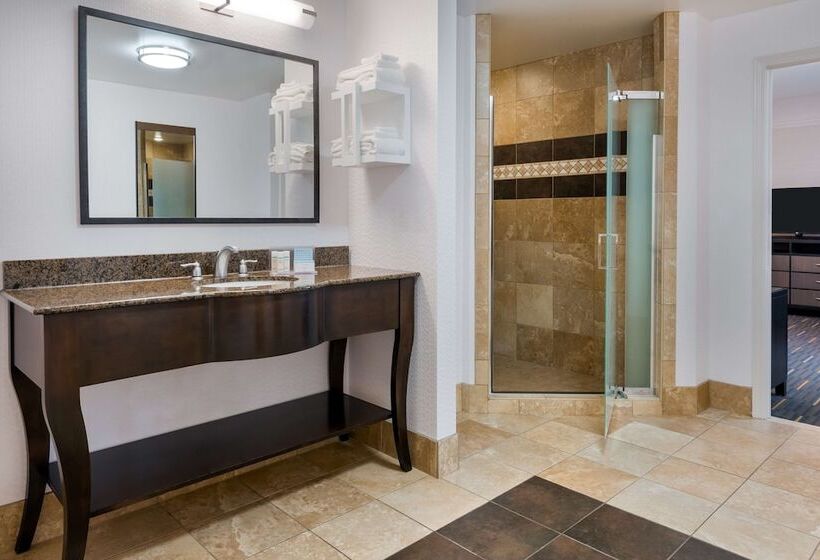 Стандартный Номер Кровать Кинг, Hampton Inn & Suites Buffalo Downtown
