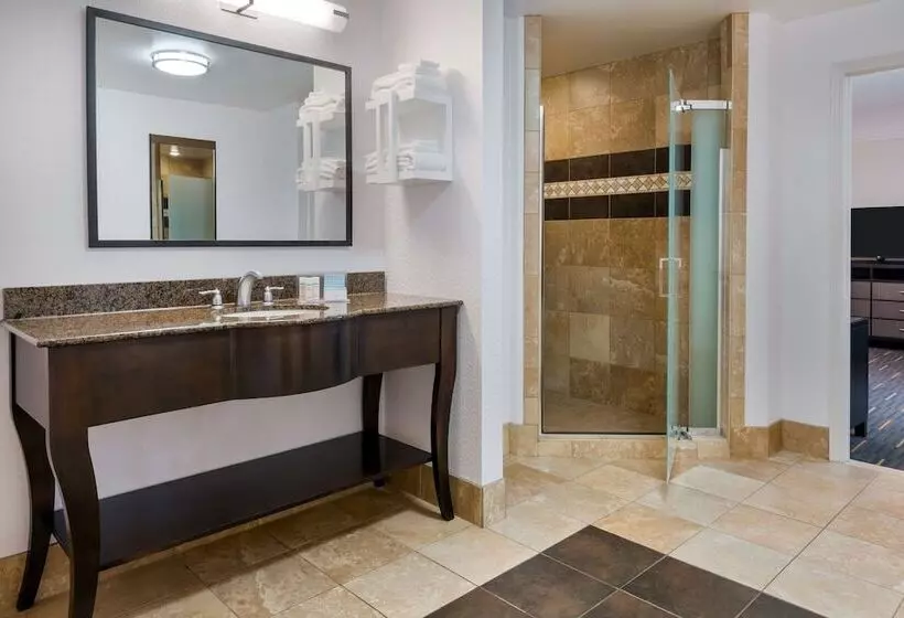 اتاق استاندارد با تخت بزرگ, Hampton Inn & Suites Buffalo Downtown
