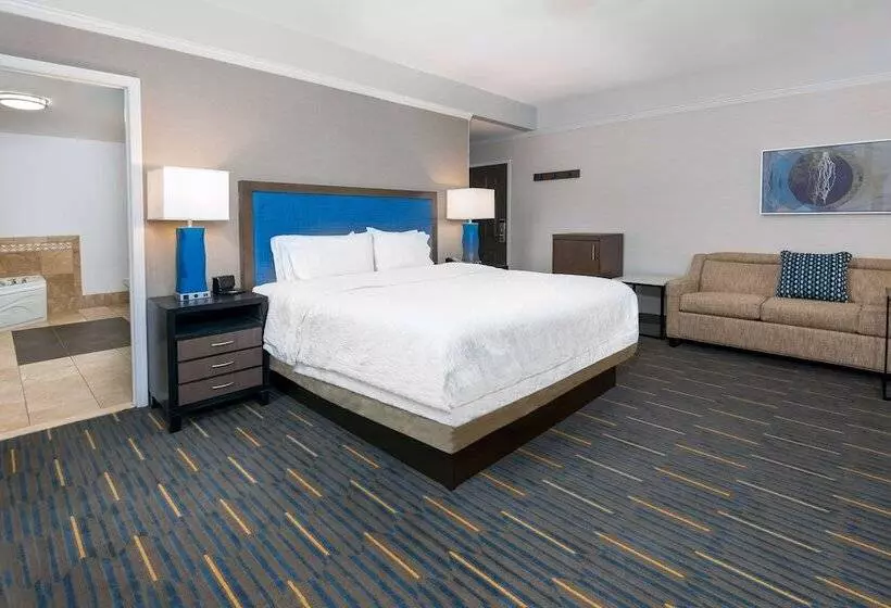 اتاق استاندارد با تخت بزرگ, Hampton Inn & Suites Buffalo Downtown