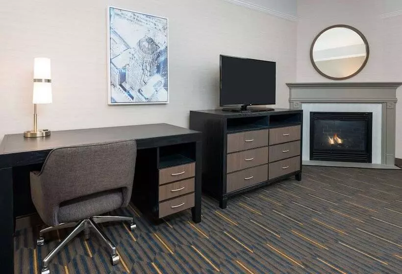 اتاق استاندارد با تخت بزرگ, Hampton Inn & Suites Buffalo Downtown