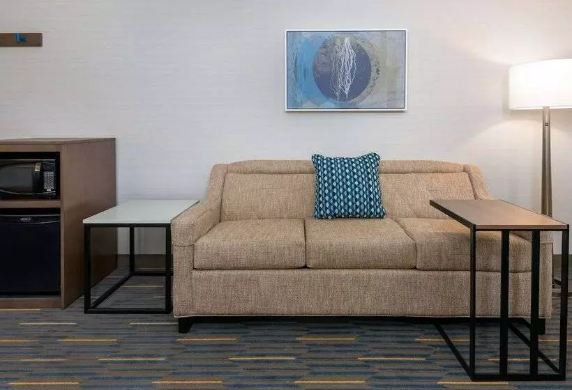 اتاق استاندارد با تخت بزرگ, Hampton Inn & Suites Buffalo Downtown
