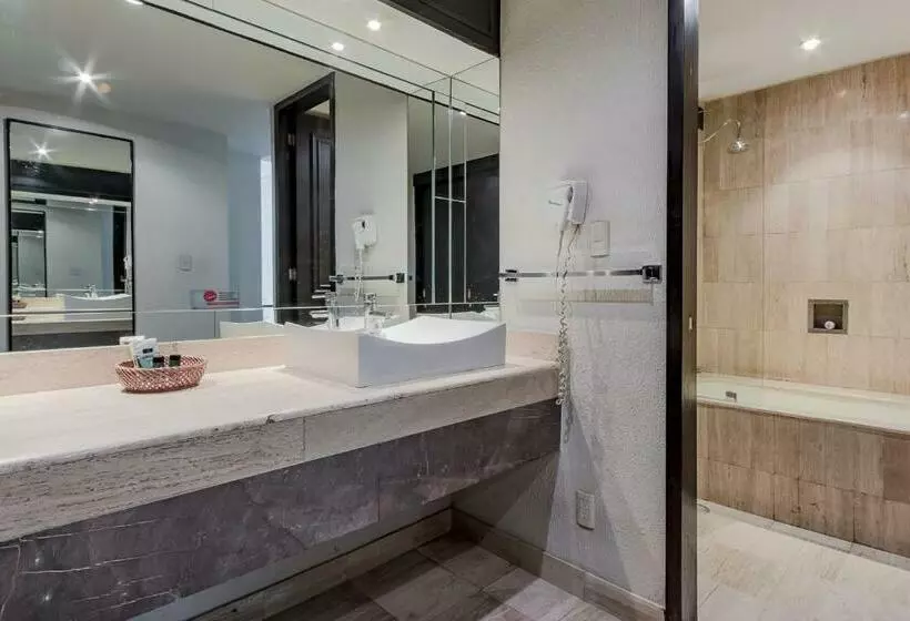 اتاق استاندارد با تخت بزرگ, Imperial Reforma