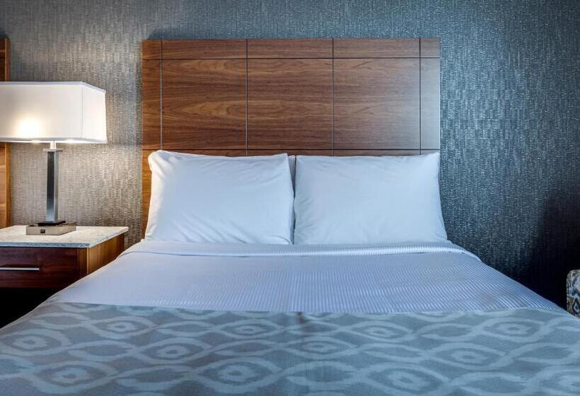 Standart Oda, Monte Carlo Inn Markham