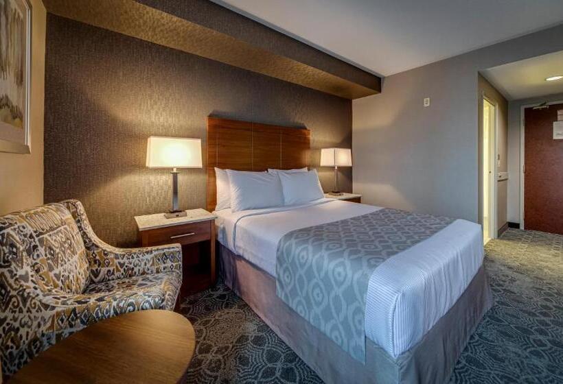 Standart Oda, Monte Carlo Inn Markham