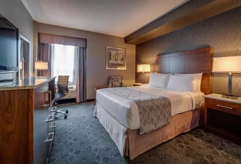 اتاق استاندارد, Monte Carlo Inn Markham