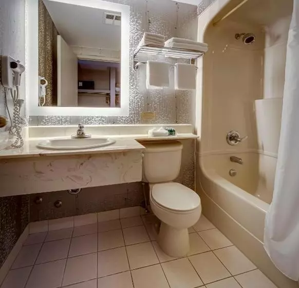 سوئیت با وان آب گرم, Monte Carlo Inn Markham