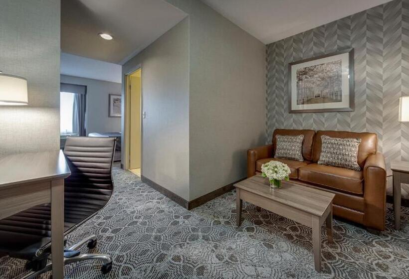 Büyük Çift Kişilik Yataklı Süit, Monte Carlo Inn Markham