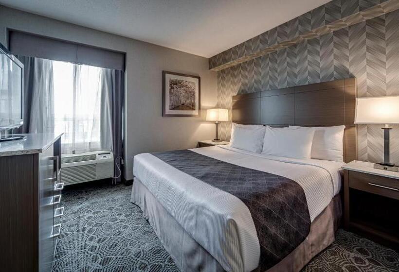 غرفة قياسية سرير مزدوج, Monte Carlo Inn Markham