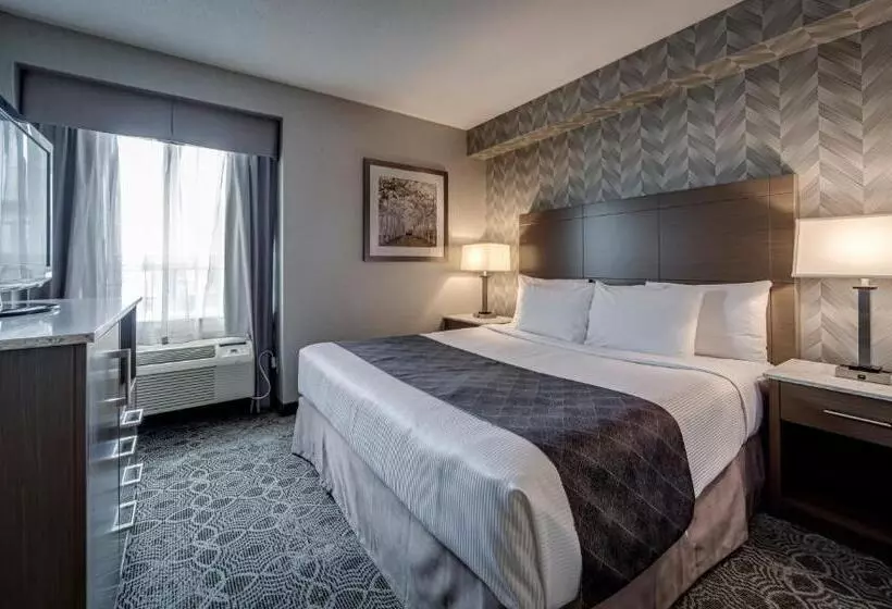 سوییت, Monte Carlo Inn Markham