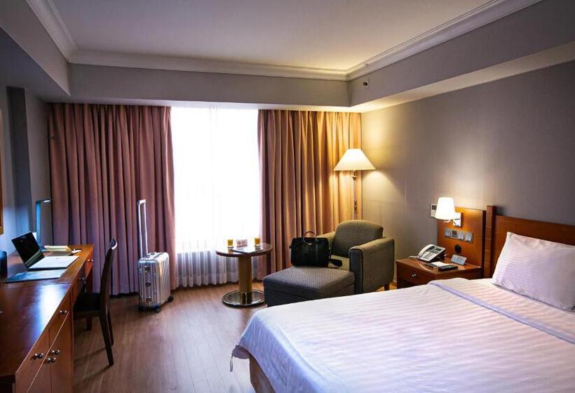 スタンダードルーム, Paragon