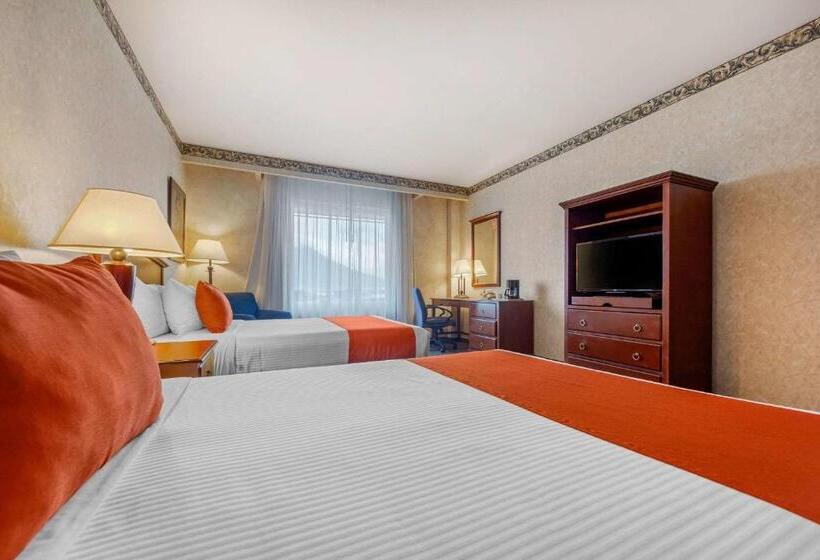 标准间, Quality Inn Monterrey La Fe