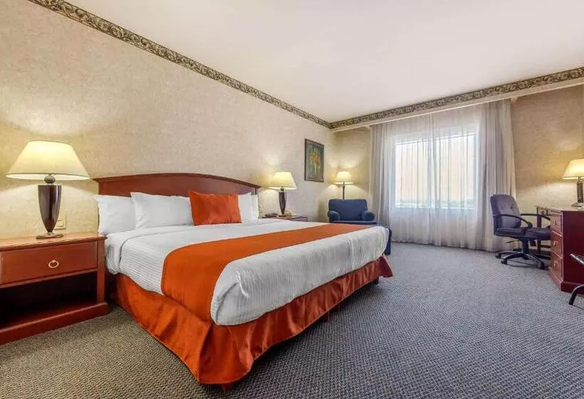 اتاق استاندارد با تخت بزرگ, Quality Inn Monterrey La Fe