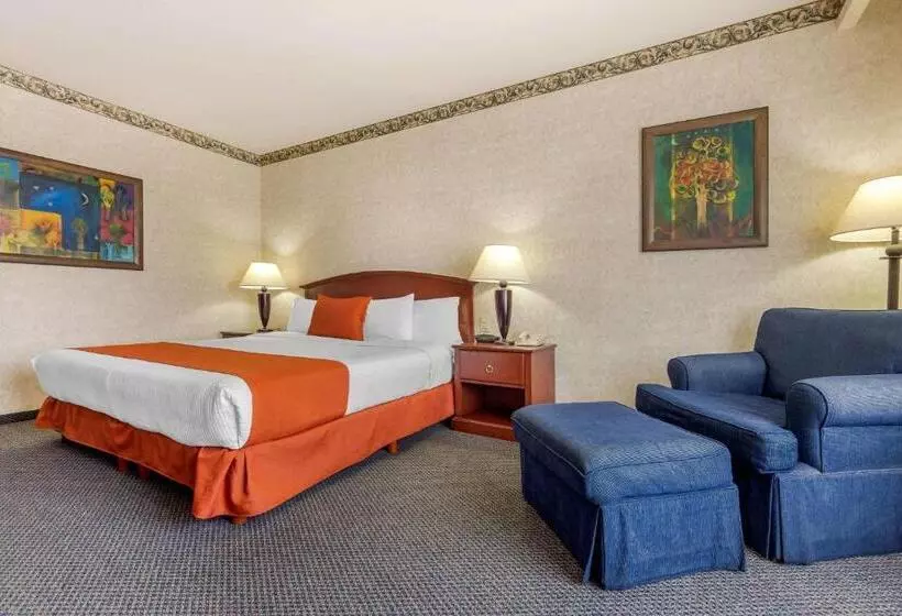 اتاق استاندارد با تخت بزرگ, Quality Inn Monterrey La Fe