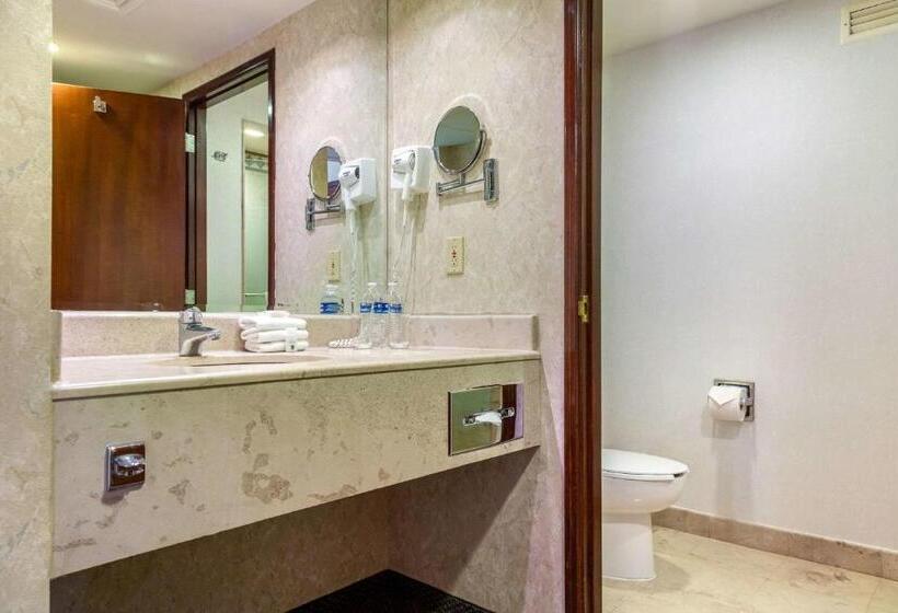 带大床的标准间, Quality Inn Monterrey La Fe